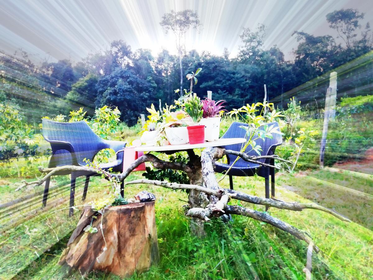 Silvershine Homestay Chikmagalūr Exteriér fotografie