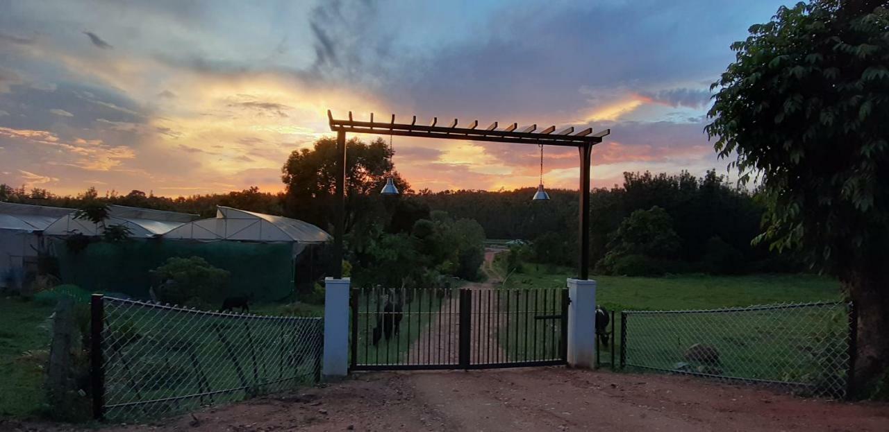 Silvershine Homestay Chikmagalūr Exteriér fotografie